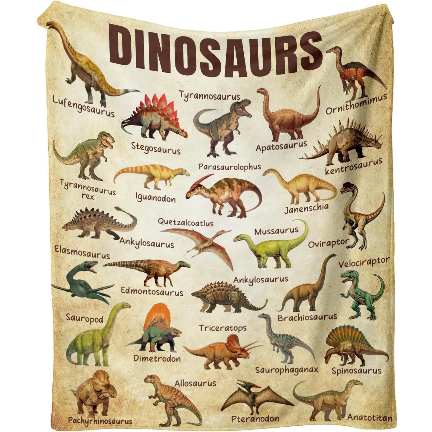 Dinosaurs Educational Gifts for Dinosaur Lovers Blanket