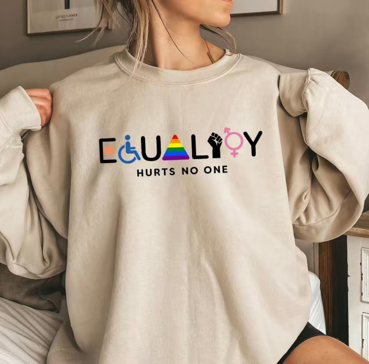 Equality Hurts No One T-Shirt/Sweatshirt/Hoodie