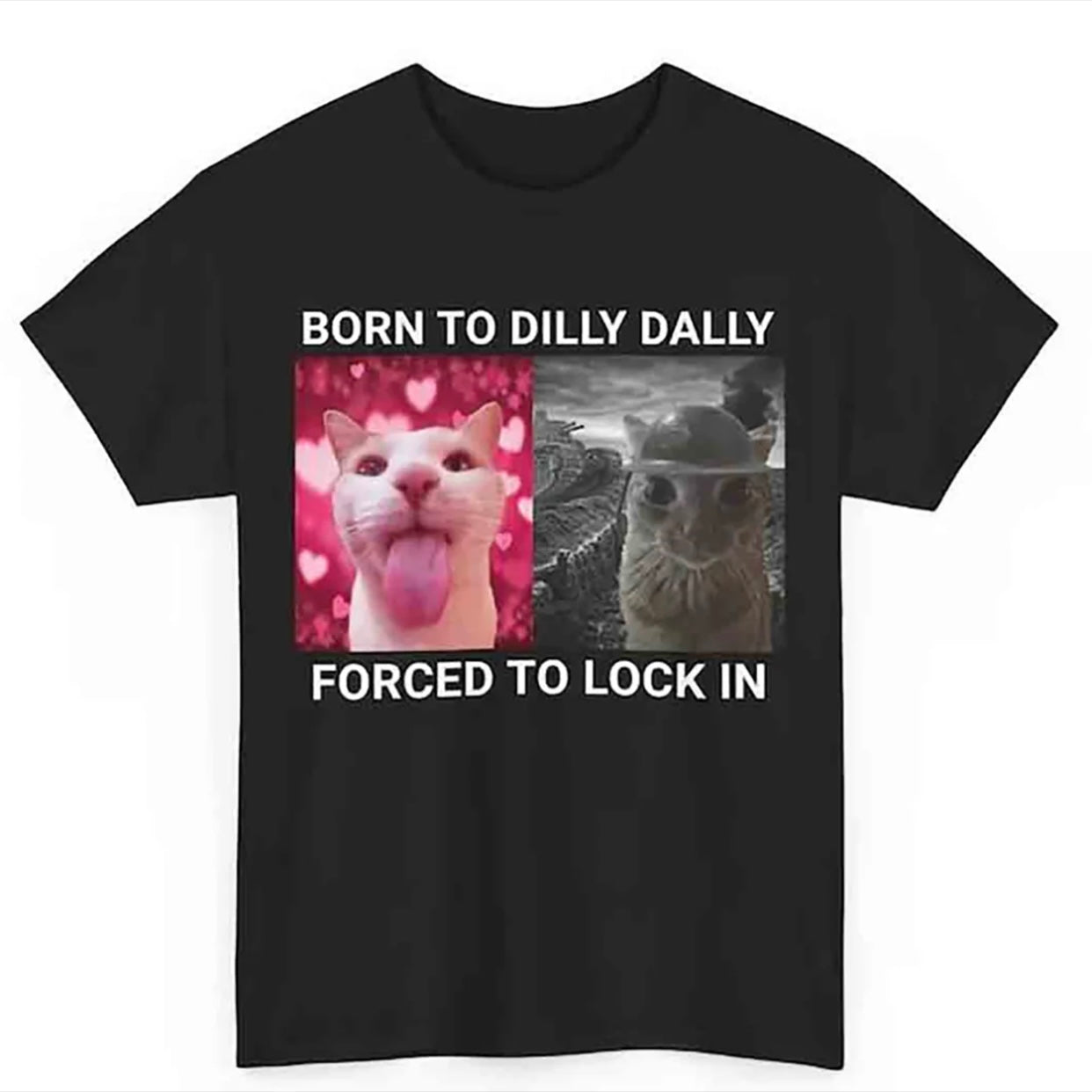 Born To Dilly Dally Forced To Lock In Funny Cat Meme T-Shirt/Sweatshirt/Hoodie