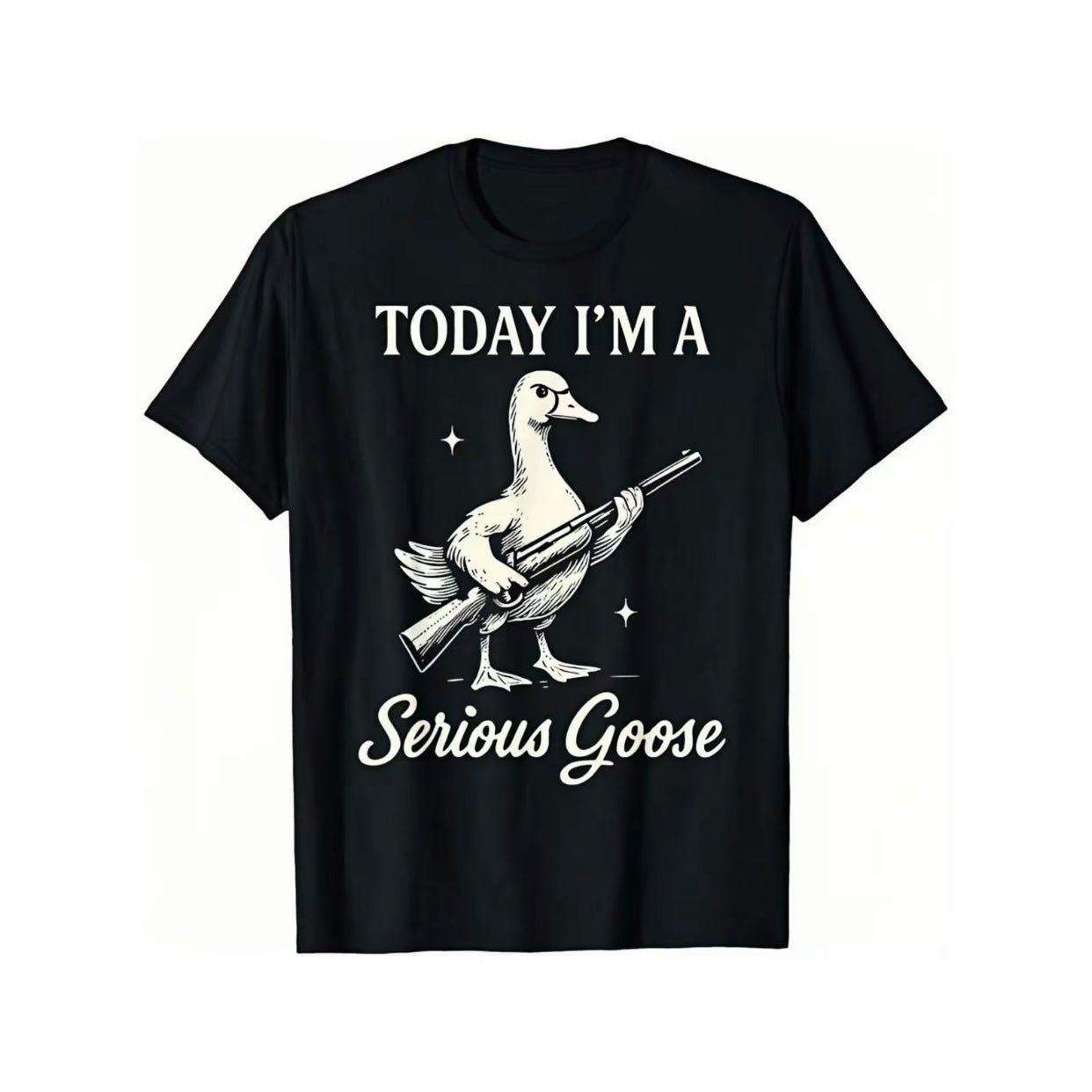 Today I'm A Serious Goose Funny Meme T-Shirt/Sweatshirt/Hoodie