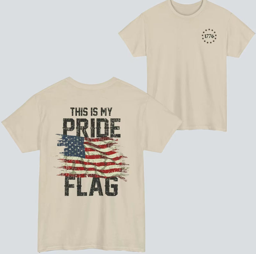 This Is My Pride American Flag T-Shirt/Sweatshirt/Hoodie