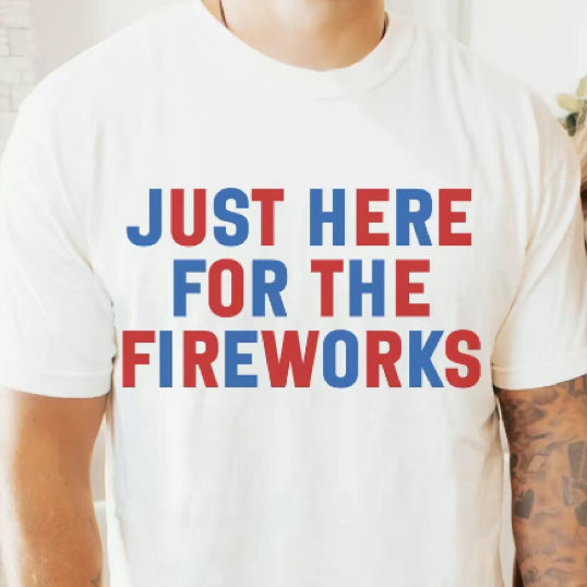 Funny Couples 4th of July Fireworks T-Shirt/Sweatshirt/Hoodie